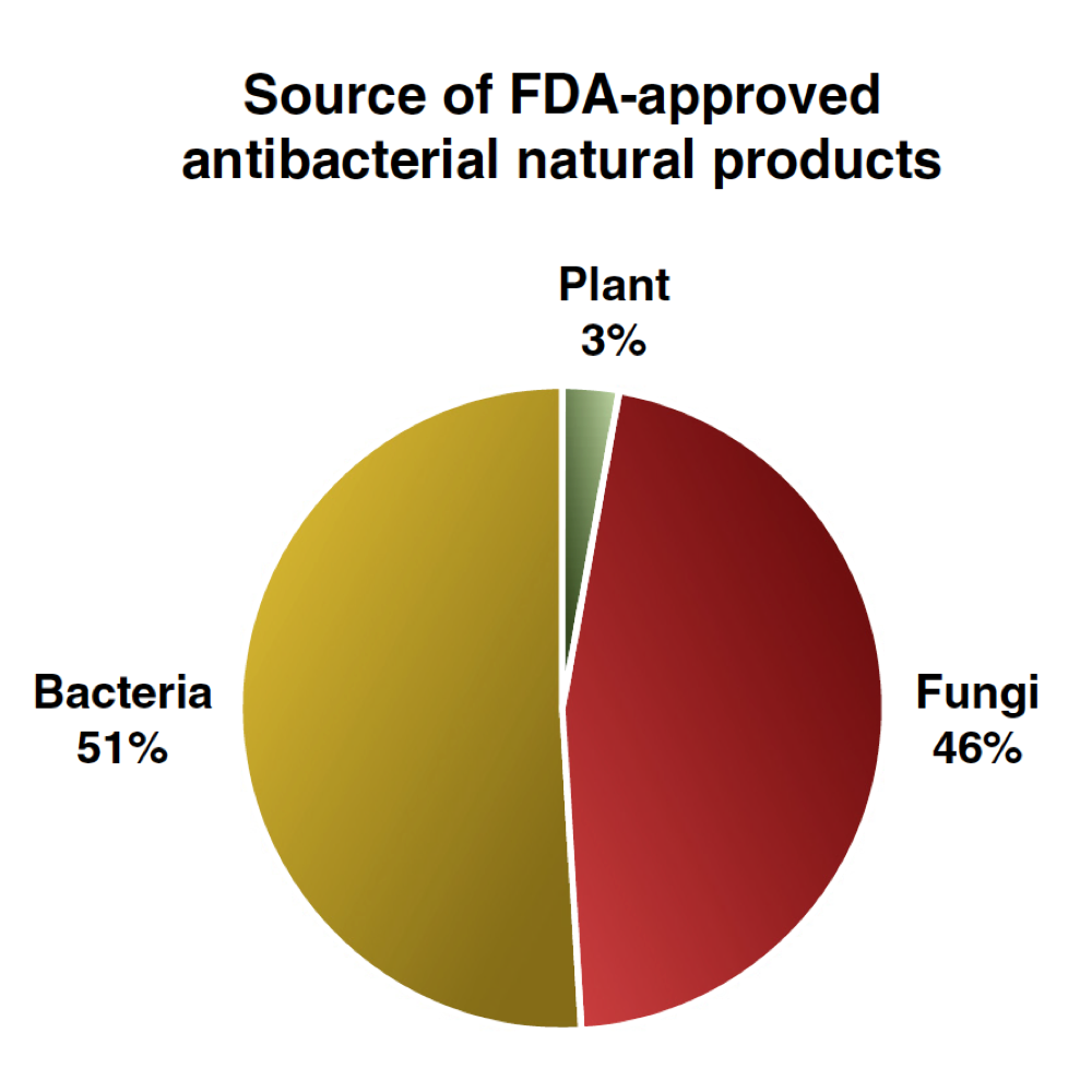 FDA approved NMEs