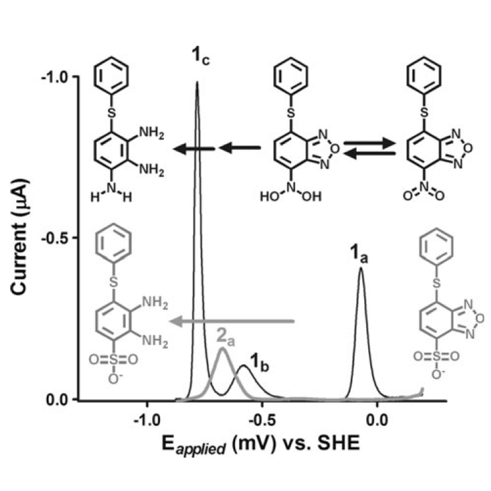 Nitrobenzofurazan superoxide generator