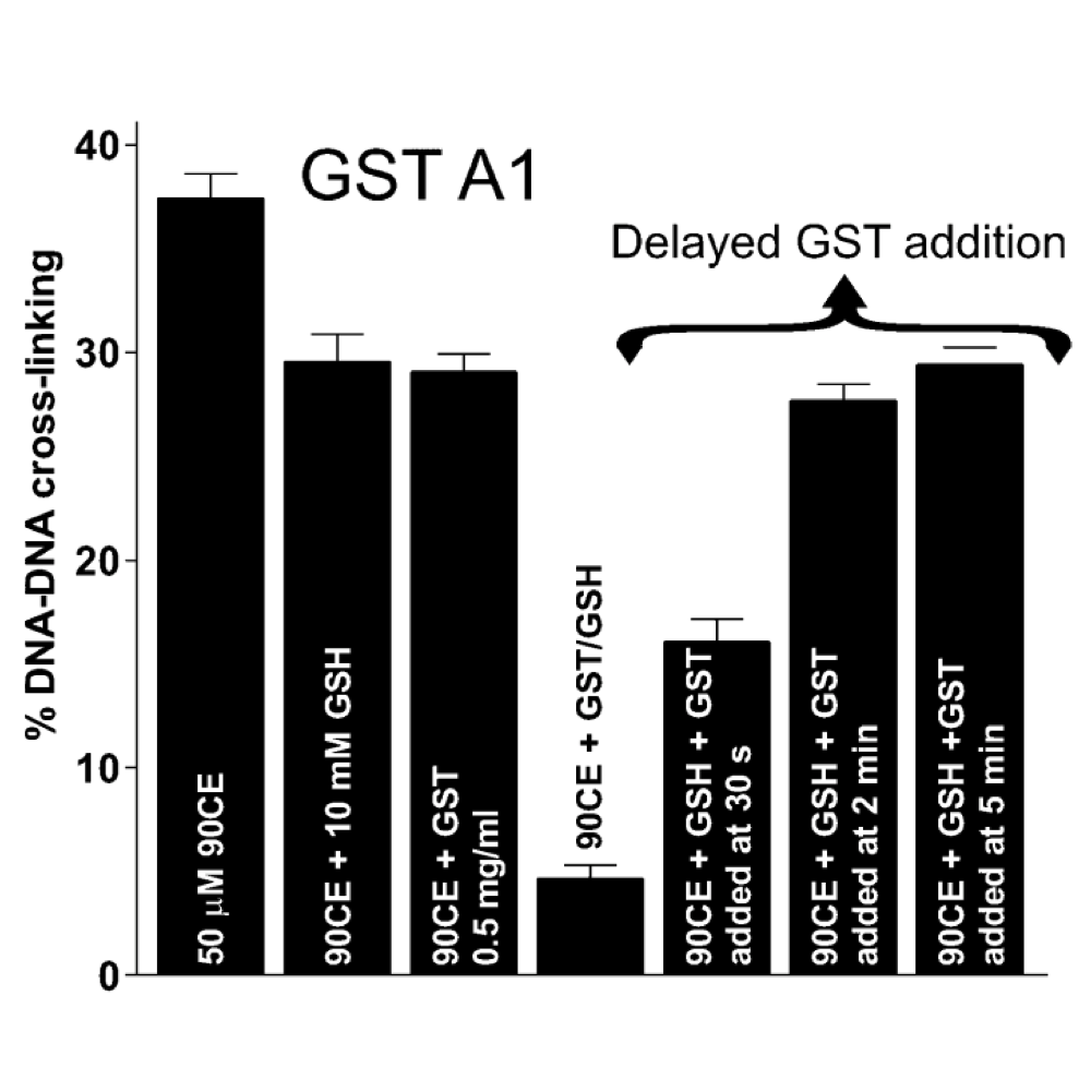 GST protection from alkylators